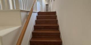 13512 Scarlet Sage Trail Gallery 21