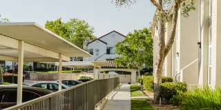 Legends of Rancho Belago Gallery 88