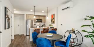 Ellis at Bel-Red Gallery 6