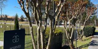Golden Gate Townhomes Gallery 18