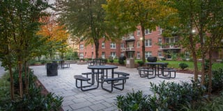 The Metropolitan Gallery 22