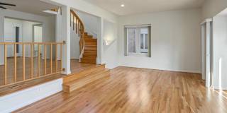 10723 GLOXINIA Gallery 2