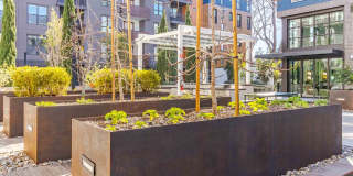 Sevens Luxury Apartment Gallery 194