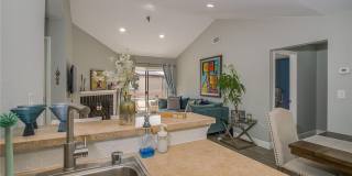 10263 GANDY BOULEVARD N Gallery 14