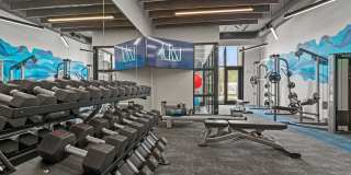 Leksa at Cityplace Gallery 40