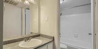 Rise at the Palms Gallery 36