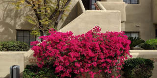 6244 N 30TH Place Gallery 21