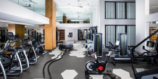 Modern on M Gallery 23