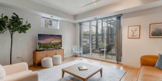 Blue and Lime Blue and Lime Gallery 1