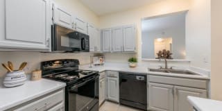 Hillside on Cannon Gallery 13