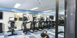 Radnor Crossing Gallery 16