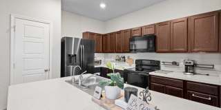 5418 Cicada Gallery 6