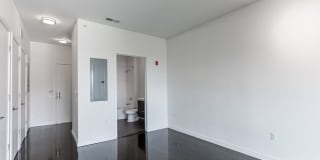 The Novella Gallery 16