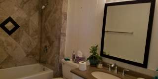 1827 Halekoa Dr Gallery 15