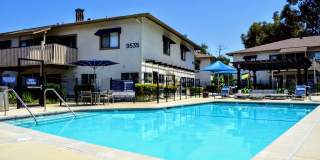 La Jolla Canyon Gallery 14