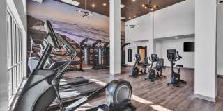 Ocean Creek Gallery 32