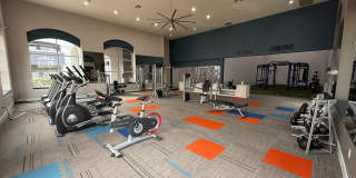 Arium Meadows Gallery 13