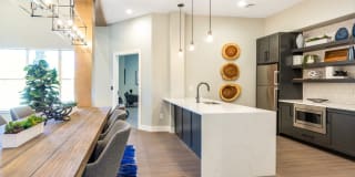 Maison's Landing Gallery 29