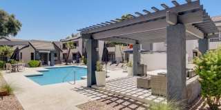 Rise on Cactus Gallery 111