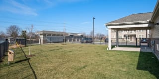 Springs at the Reserve Gallery 60