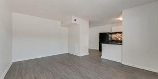 Eastwind Gallery 25