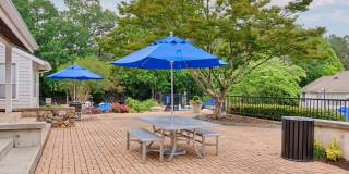 Windsor Peachtree Corners Windsor Peachtree Corners Gallery 31