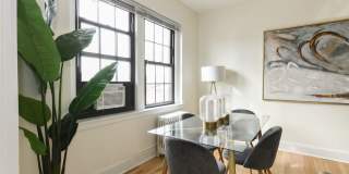 The Dahlia Gallery 6