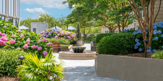 The Promenade at Harbor East Gallery 27