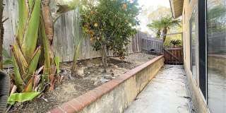 ***500 Move in Special*** Beautiful Single Family home with Large Backyard Gallery 16