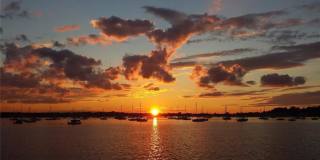 5 Carlton Avenue Gallery 27