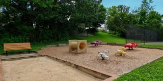 Stonehaven Gallery 45