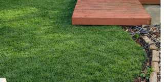 12939 Old Glory Drive Gallery 17