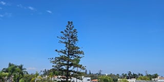 3 Bedroom Plus Home with Roof Top Deck Gallery 31