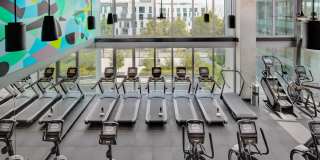 The Merian Gallery 7