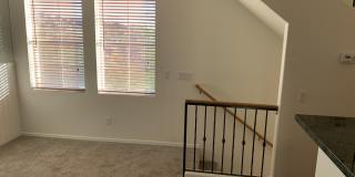 3031 W Sand Flower Drive Gallery 7