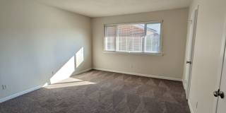 2 Bedroom Walking Distance to NCSU! 2 Bedroom Walking Distance to NCSU! Gallery 9