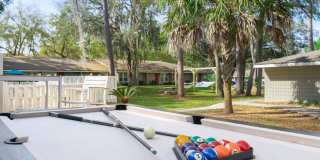 Courtney Greens Gallery 37