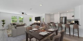 332 Elephants Ear Gallery 2