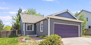 Fantastic 4 bedroom House (2 weeks rent free!) Fantastic 4 bedroom House (2 weeks rent free!) Gallery 1
