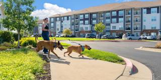 Kinsley Forest Gallery 37