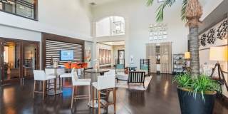 The Point at Lakeside Gallery 20