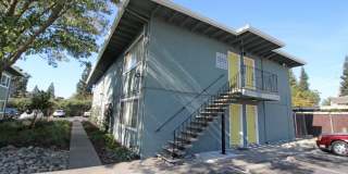 The Canopy Gallery 29