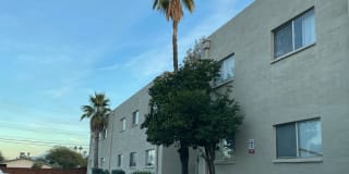 Palm Garden Gallery 31