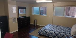 5938 Riley Street Gallery 10