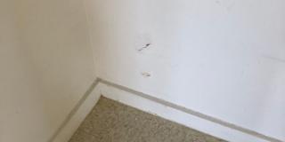 Central Location with Free Utilities! Central Location with Free Utilities! Gallery 30