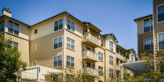 Marlin Cove Apartments Marlin Cove Apartments Gallery 38