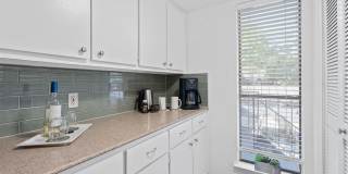 1101 Hollow Creek Drive Gallery 18