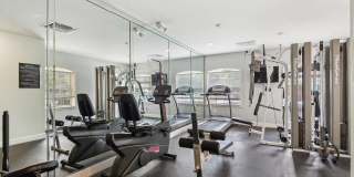 Lyme Stone Ranch Gallery 40