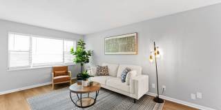 The View on Vivion Gallery 4