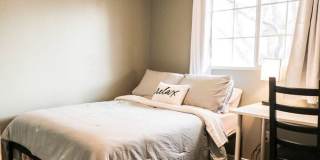 Cozy Gem,Dog-Friendly, Near Outdoor Escapes Gallery 17